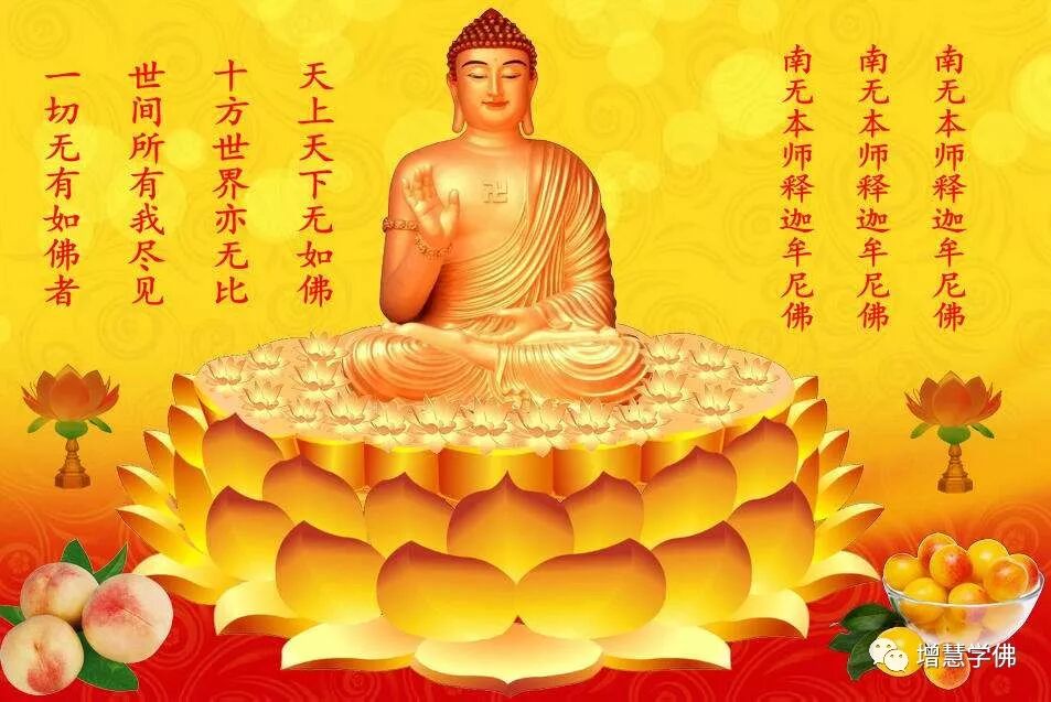 南无本师释迦牟尼佛的五百大愿 愿愿为众生 字字大震撼 愿生彼国 微信公众号文章阅读 Wemp