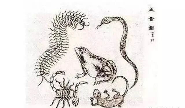 2024年五毒月，九毒日，你一定要知道的禁忌-图片1