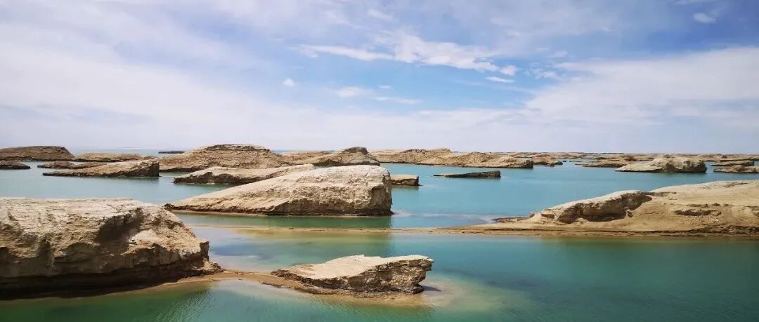 刘石成：高考政治新课标I 2015-2020年考点分布（最新版）