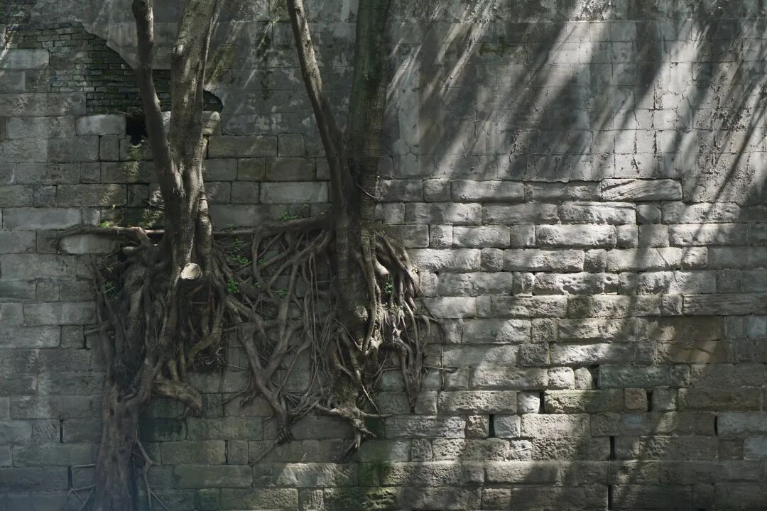 重庆旅游攻略（初次观光版本）