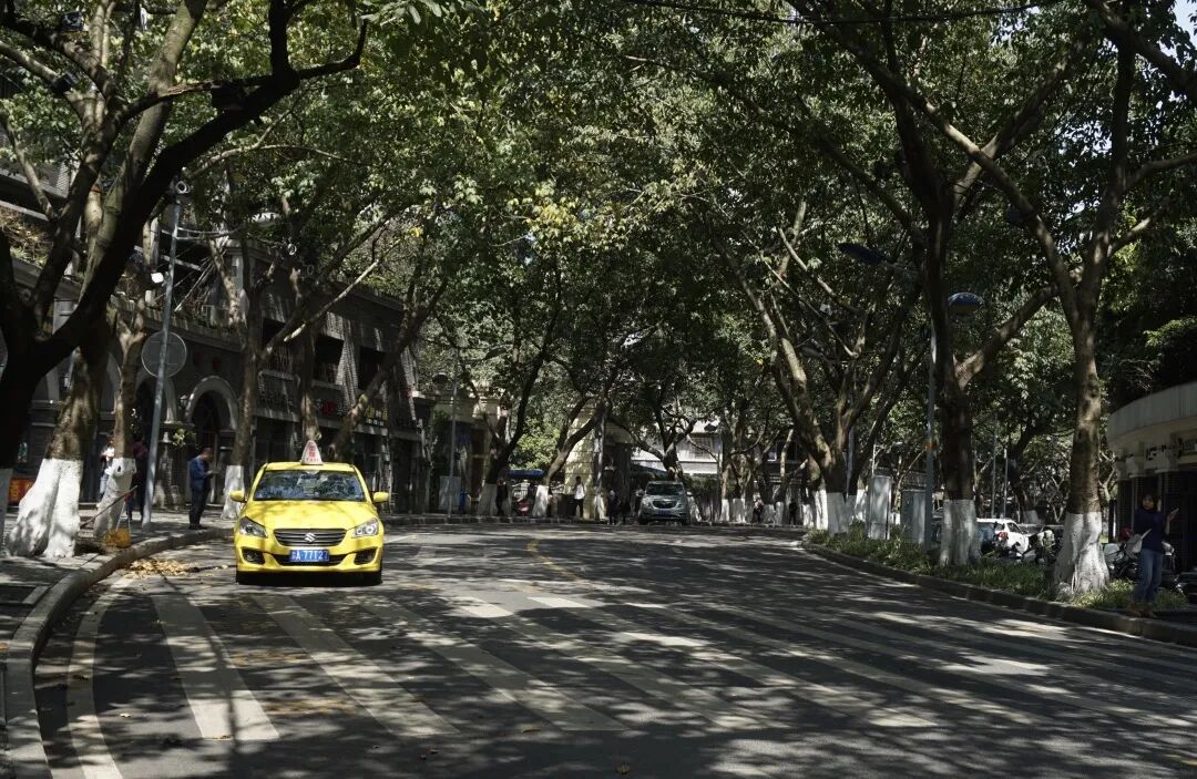 重庆旅游攻略（初次观光版本）