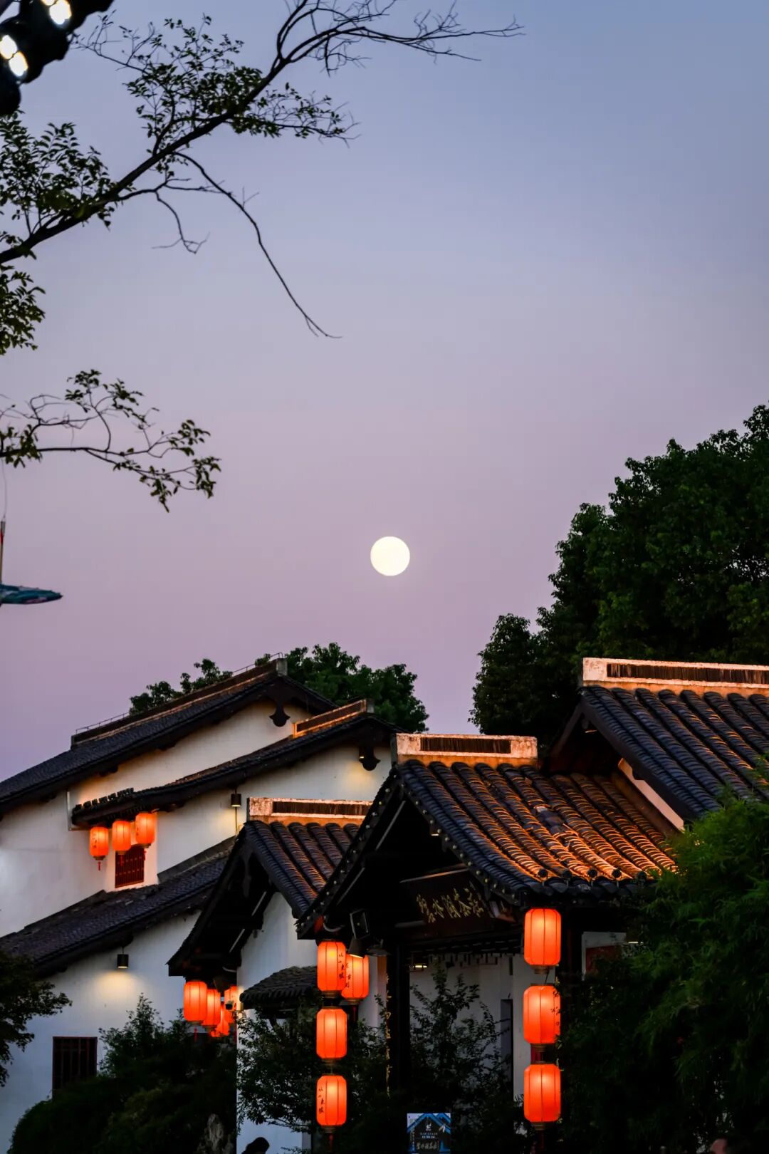 028《东坡渡月》.jpg