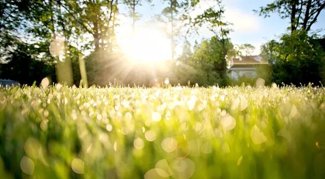知医 │为何一觉醒来，感觉更乏更累？-古方玉灵膏-食疗补血妙方