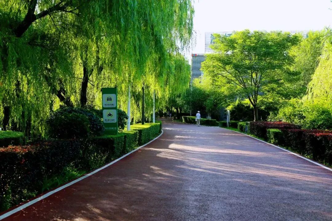 最忒色的西安旅游攻略！生态、历史、艺术、市井烟火……