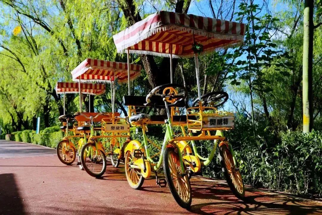 最忒色的西安旅游攻略！生态、历史、艺术、市井烟火……