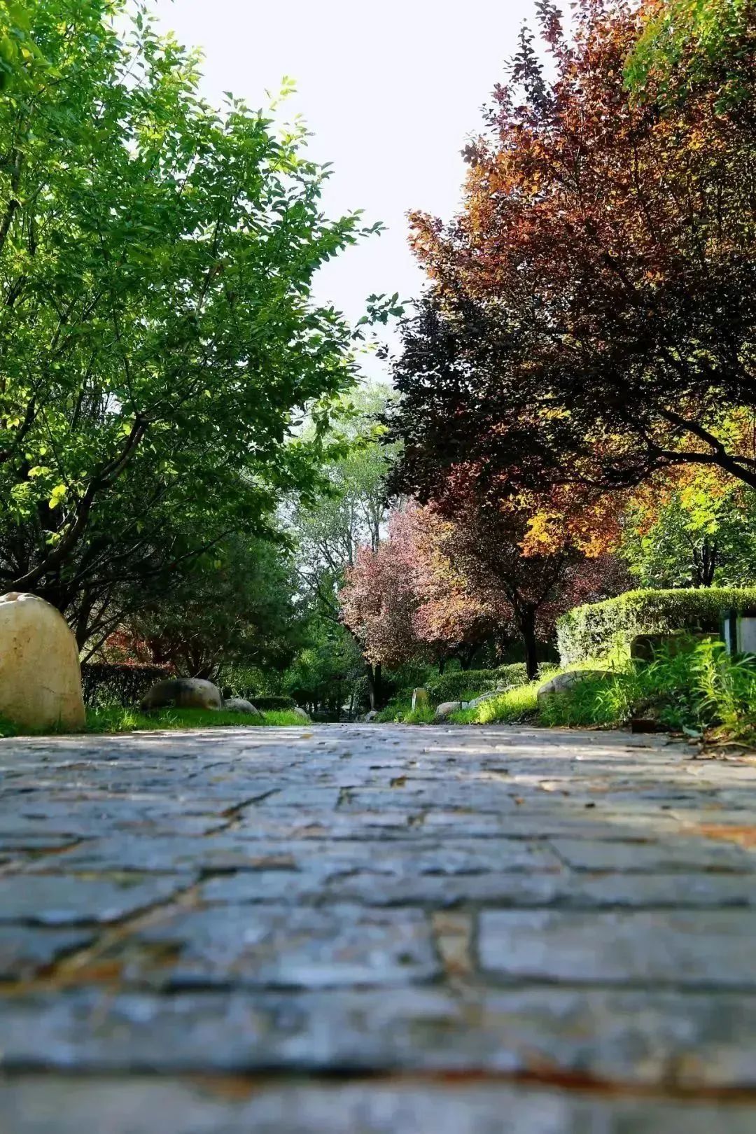 最忒色的西安旅游攻略！生态、历史、艺术、市井烟火……