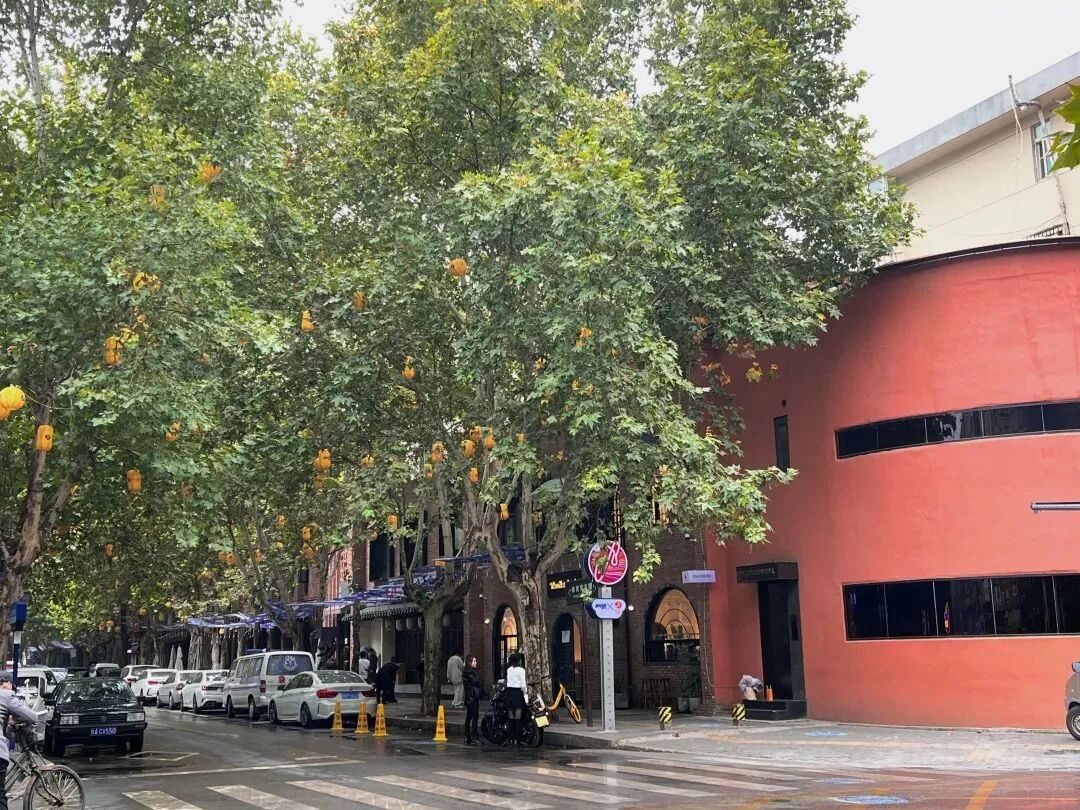 最忒色的西安旅游攻略！生态、历史、艺术、市井烟火……