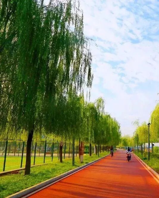 最忒色的西安旅游攻略！生态、历史、艺术、市井烟火……