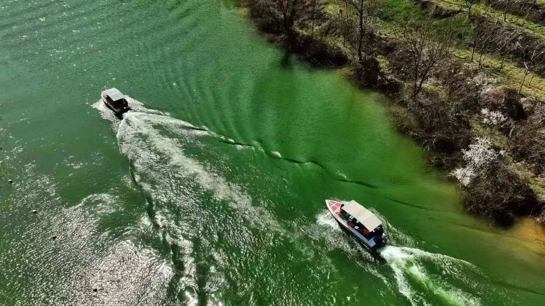 最忒色的西安旅游攻略！生态、历史、艺术、市井烟火……