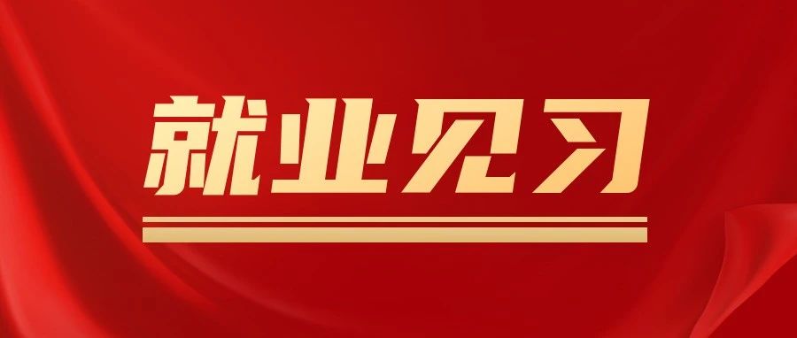 我市优化就业见习政策|进一步提升青年就业能力