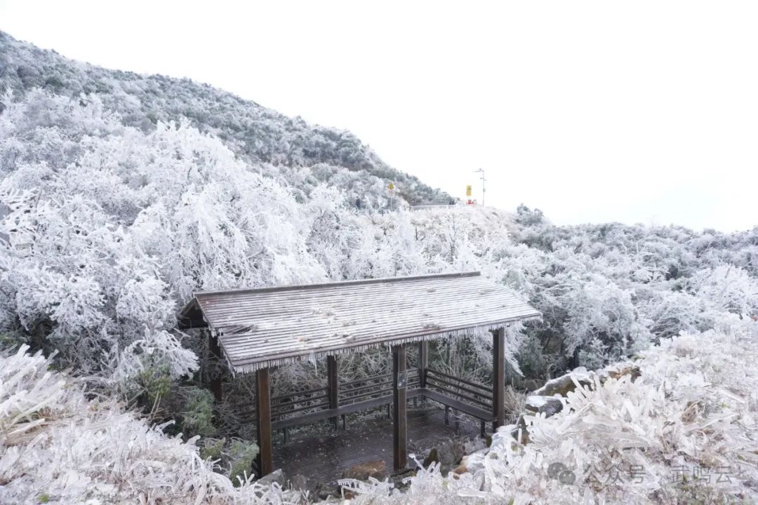 武鸣大明山雾凇图片