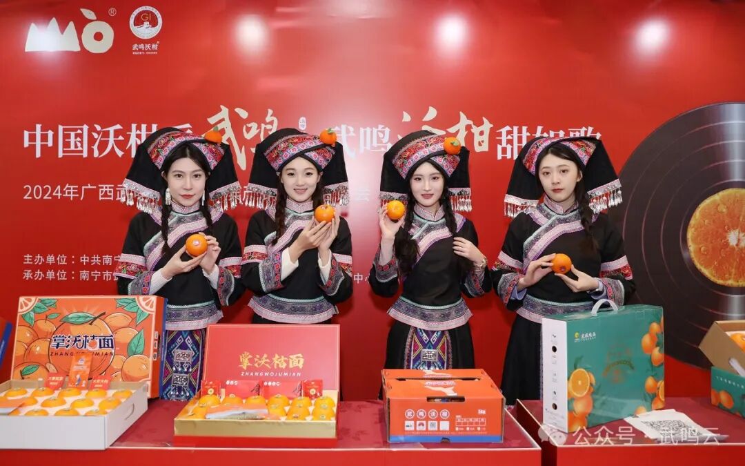 此次洽谈会上,武鸣区副区长黄海珍以幻灯片演示的方式介绍了武鸣沃柑