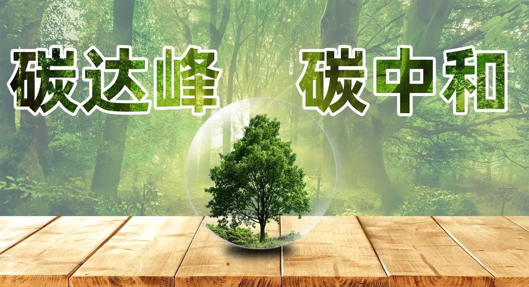 助力雙碳 | 譜尼測試成為上海產業雙碳服務聯盟首批會員機構的圖3