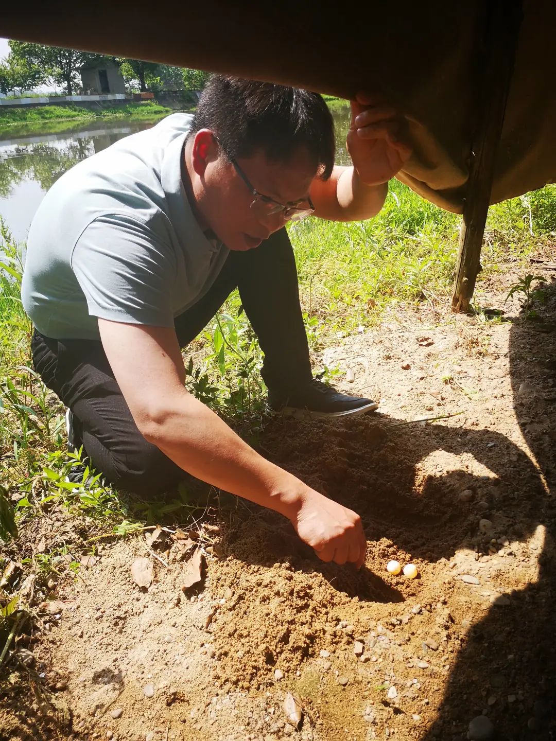 致富经甲鱼养殖技术视频_致富经养甲鱼视频播放_致富经甲鱼