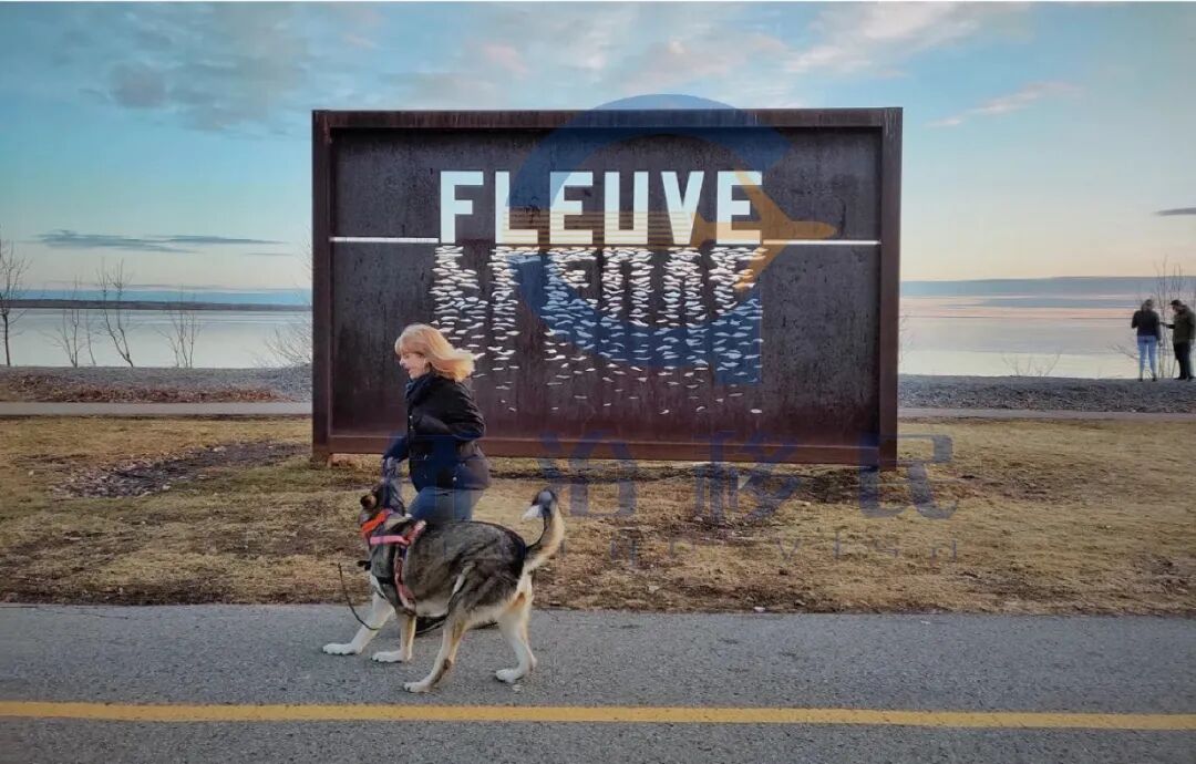 中国加拿大自雇新移民在疫情下的加拿大