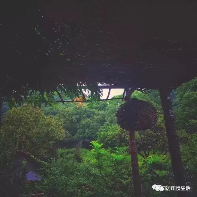 长安民宿推荐|问山房一问天地二问秦岭三问众生