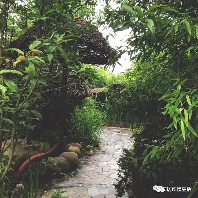 长安民宿推荐|问山房一问天地二问秦岭三问众生