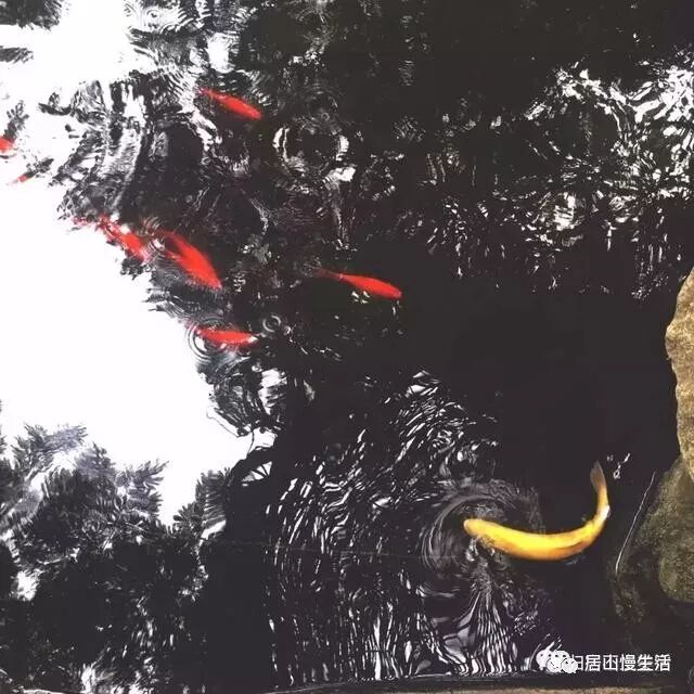 长安民宿推荐|问山房一问天地二问秦岭三问众生