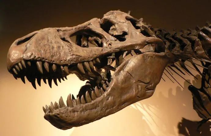 生存至今的远古生物_世间远古生物都有哪些_世间远古生物