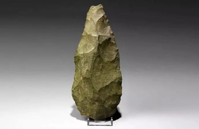 世间远古生物都有哪些_世间远古生物_生存至今的远古生物