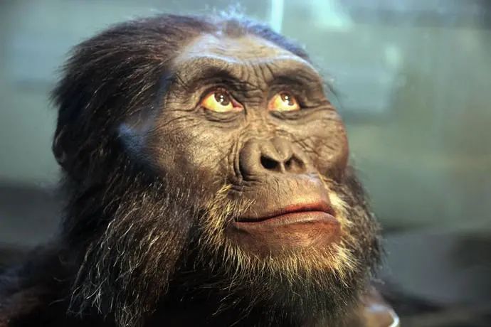 世间远古生物都有哪些_世间远古生物_生存至今的远古生物