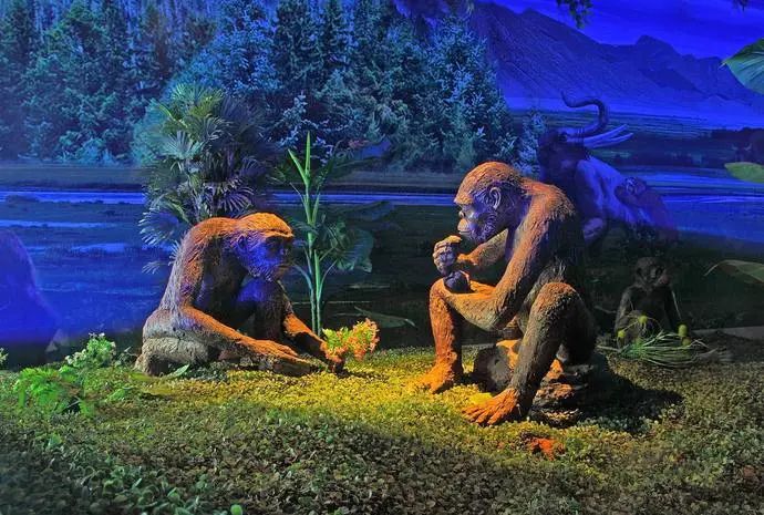 世间远古生物都有哪些_生存至今的远古生物_世间远古生物