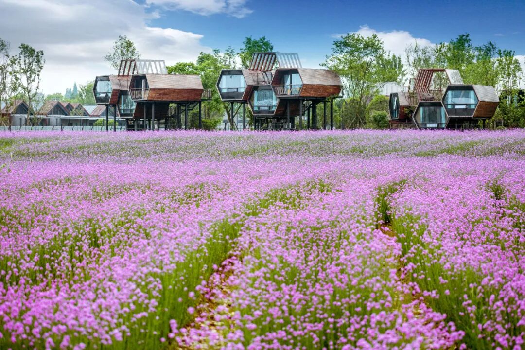 五一假期小众目的爆火,文旅行业随着"反向旅游"迎来新机遇