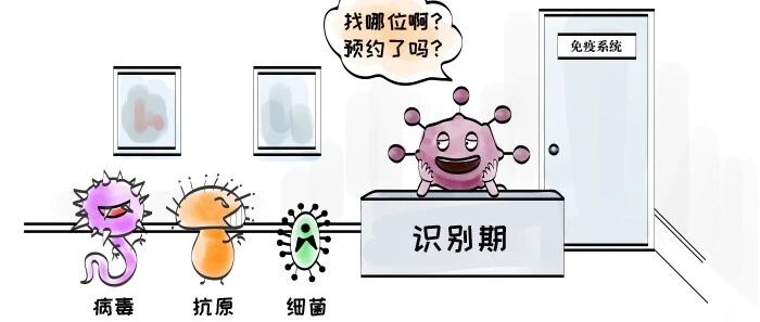 一注射疫苗，体内就能产生抗体吗？聊一聊关于疫苗的冷知识