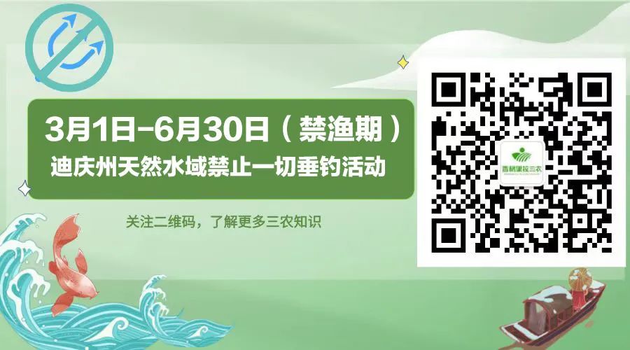 2024年05月15日 维西天气