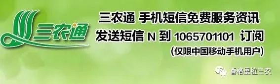 2024年05月15日 维西天气