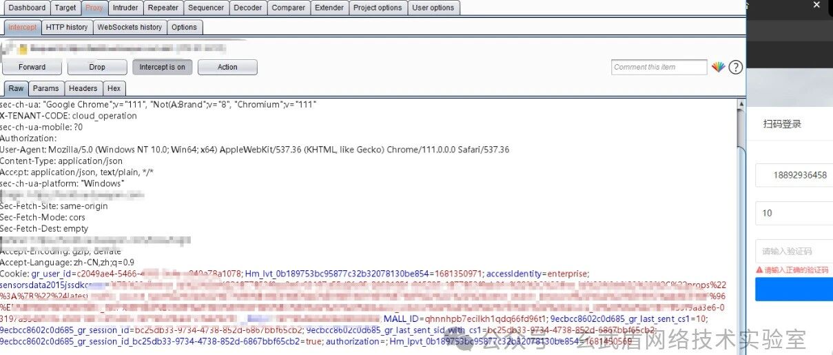 Example Image