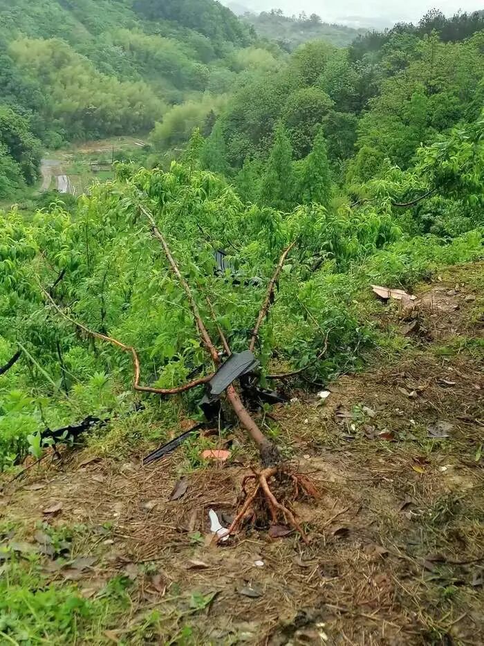 金华夫妻开特斯拉坠崖身亡事故，特斯拉最新回应