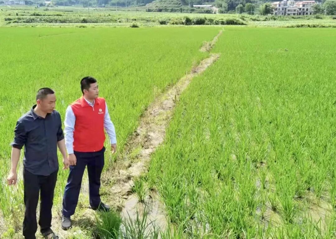 新型农业经营主体动态管理平台_新型农业主体经营管理系统包括_新型农业经营主体管理系统