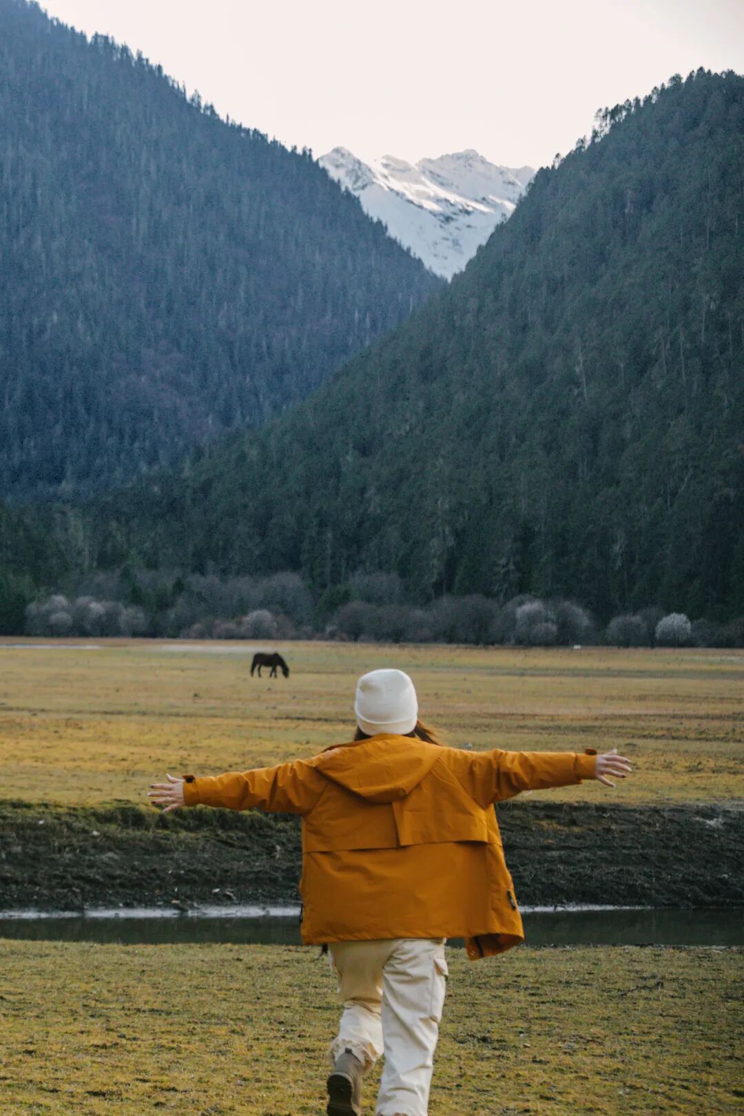 有直飞有高铁！花海美过新疆日本！这座小城凭什么荣登“春日旅行天花板”？