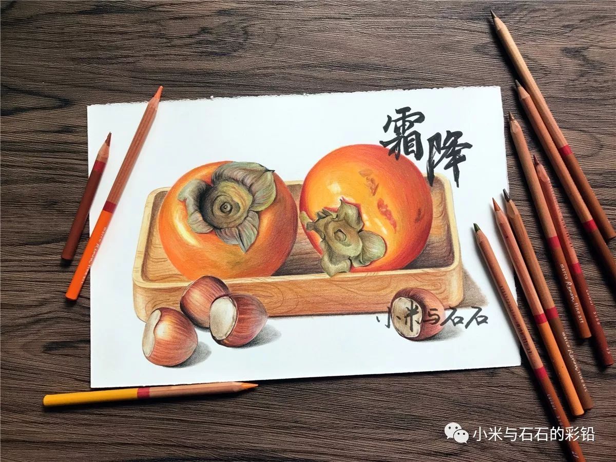 彩铅手绘24节气-霜降·柿柿如意