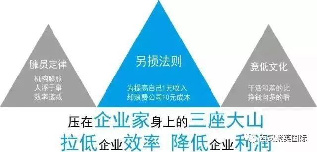 2019年《新合夥模式—頂層設計班》，重磅推出！ 職場 第7張