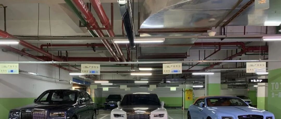 3辆劳斯莱斯，占4个车位，车价超2500万，网友：一个人的