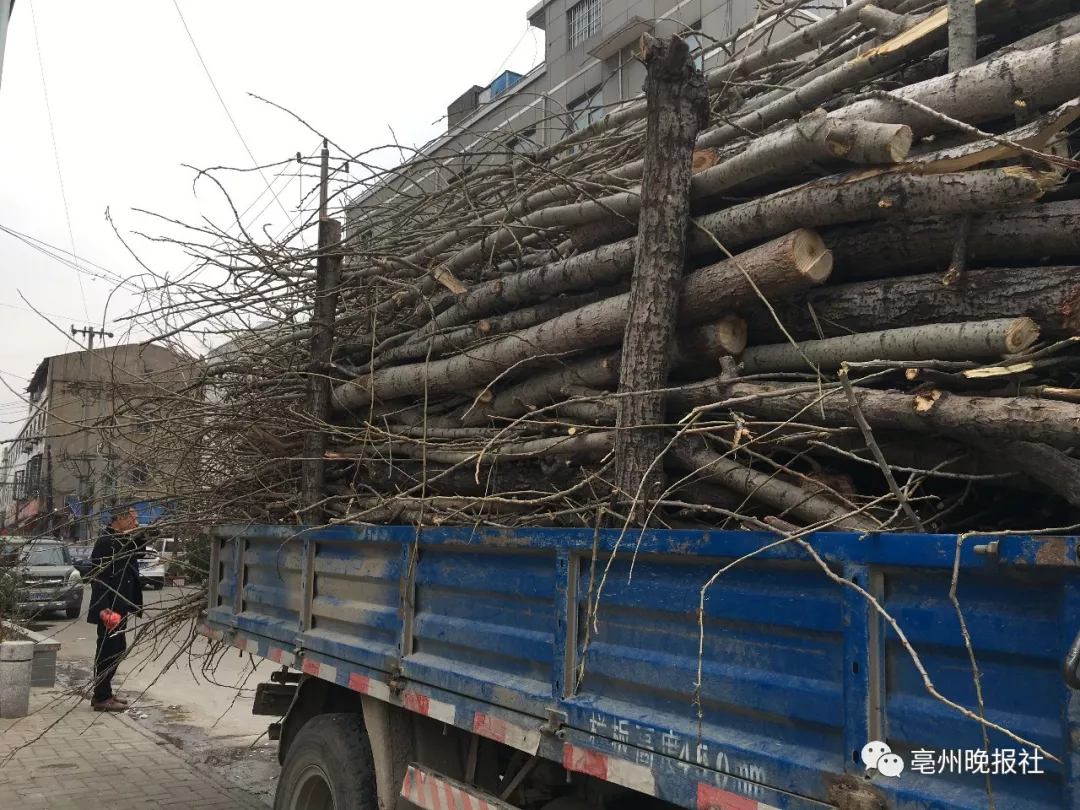 登录查看大图