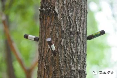 登录查看大图