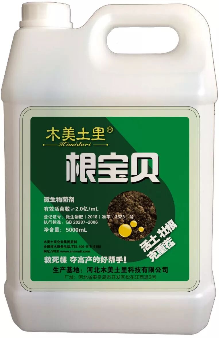 阴雨连绵这些防救方法必须掌握