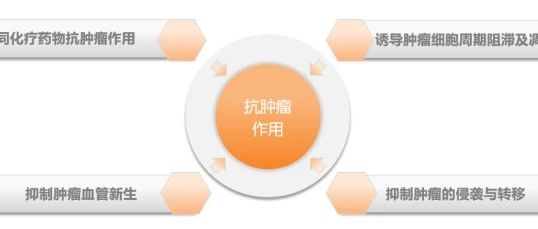 cover_image