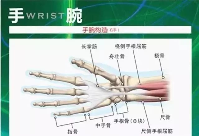 左手腕部粉碎性骨折 10天快速消肿 60天活动自由 大慈安康之家 微信公众号文章阅读 Wemp