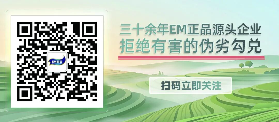 公众号.jpg