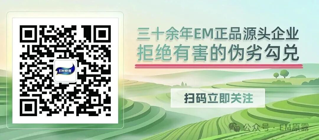 公众号.jpg