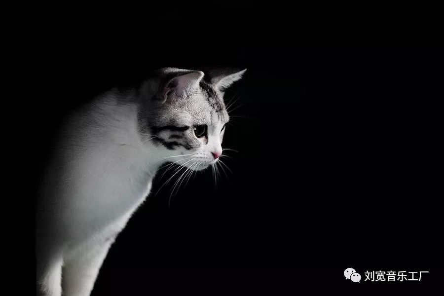 外婆的澎湖湾歌词