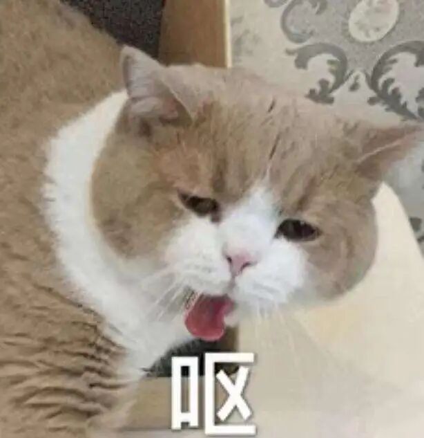 知名网红情侣竟然打“合体擦边球”？为了博眼球，连“脸”都不要了，恶心（视频/组图） - 22