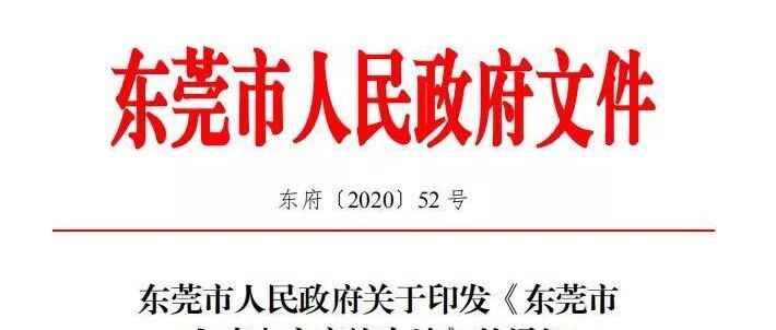 东莞重磅发文！大专无需社保可直接入户！9月1日起实施