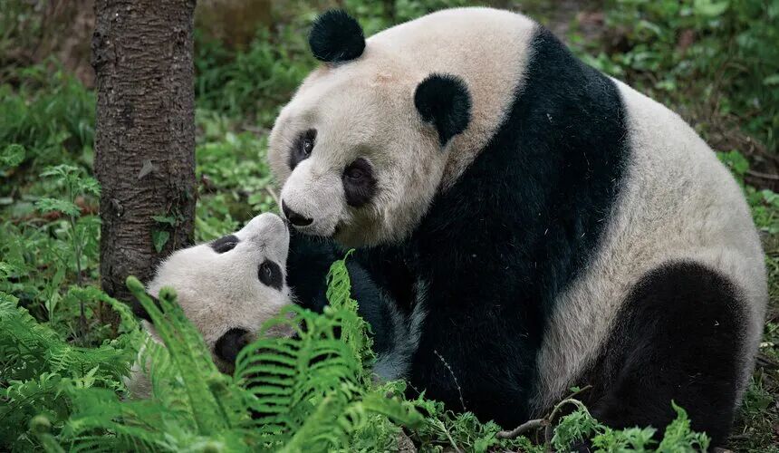 China Travel Guide for First-Timers ： Top Attractions & Tips