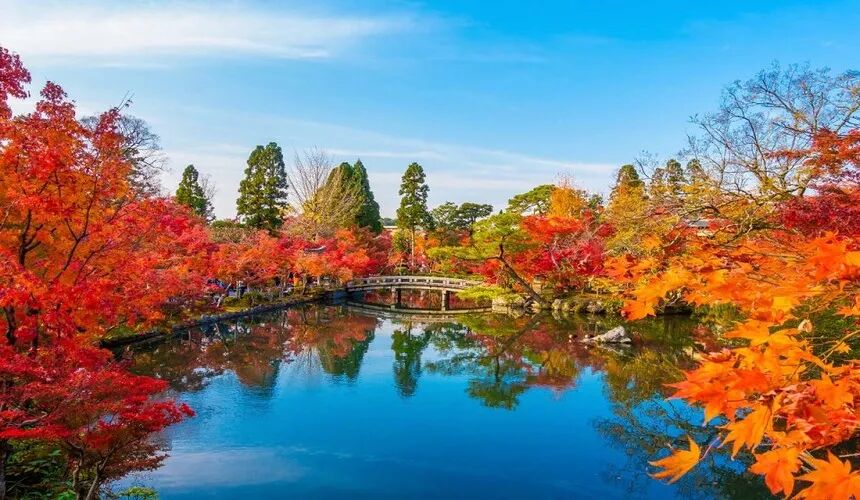 Japan Fall Foliage Guide ： 14 Top Spots & Peak Dates