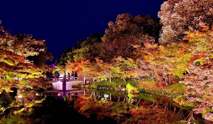 Japan Fall Foliage Guide ： 14 Top Spots & Peak Dates